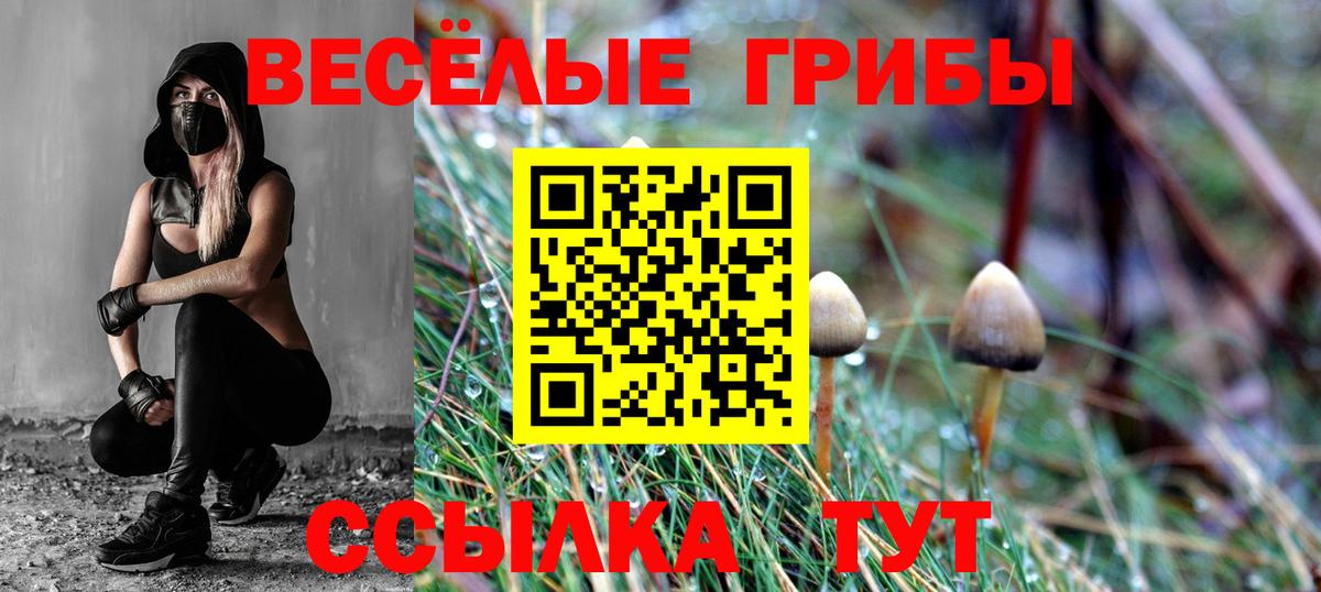 Псилоцибиновые грибы прущие грибы Шелехов
