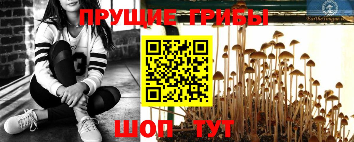 Псилоцибиновые грибы прущие грибы  Галлюциногенные грибы MAGIC MUSHROOMS  Вход с VPN  Шелехов 